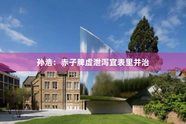 孙浩：赤子脾虚泄泻宜表里并治
