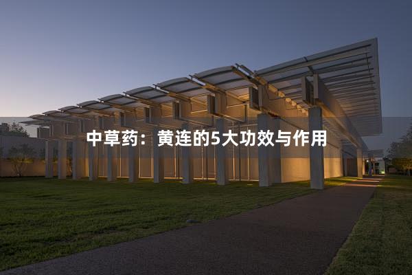 中草药：黄连的5大功效与作用