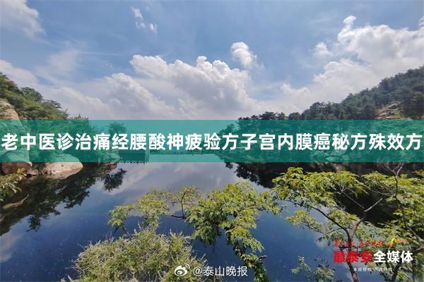 老中医诊治痛经腰酸神疲验方子宫内膜癌秘方殊效方