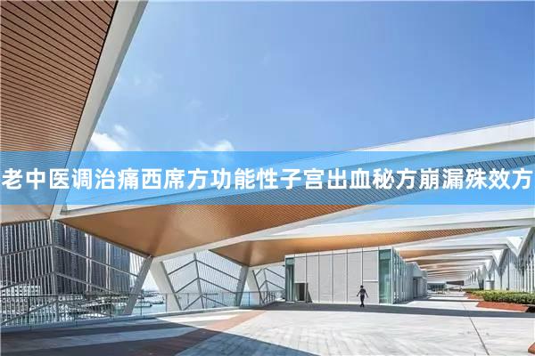 老中医调治痛西席方功能性子宫出血秘方崩漏殊效方
