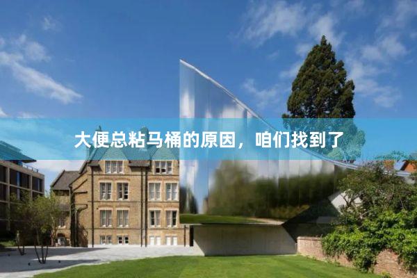 大便总粘马桶的原因，咱们找到了