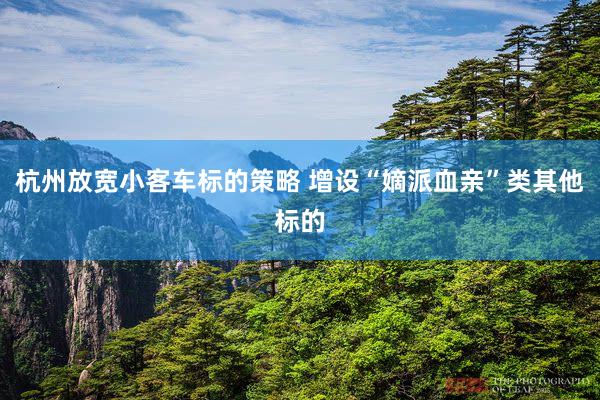 杭州放宽小客车标的策略 增设“嫡派血亲”类其他标的
