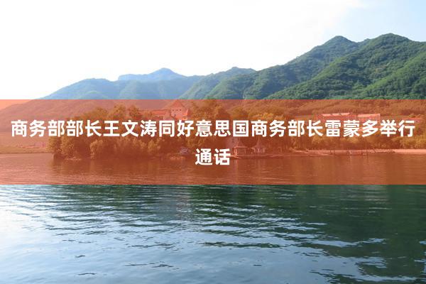 商务部部长王文涛同好意思国商务部长雷蒙多举行通话