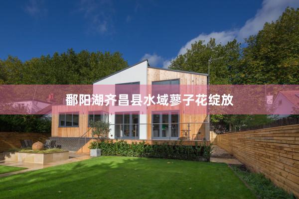 鄱阳湖齐昌县水域蓼子花绽放