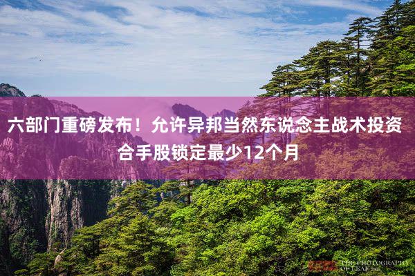 六部门重磅发布！允许异邦当然东说念主战术投资 合手股锁定最少12个月
