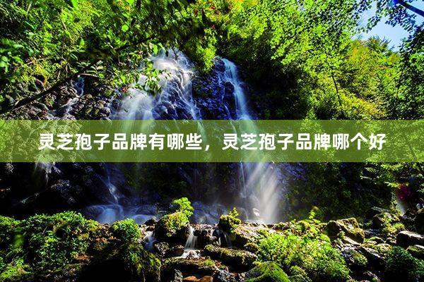 灵芝孢子品牌有哪些，灵芝孢子品牌哪个好