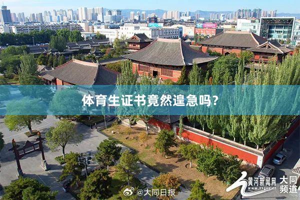 体育生证书竟然遑急吗？