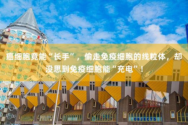 癌细胞竟能“长手”，偷走免疫细胞的线粒体，却没思到免疫细胞能“充电”！