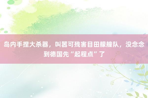岛内手捏大杀器，叫嚣可残害目田艨艟队，没念念到德国先“起程点”了