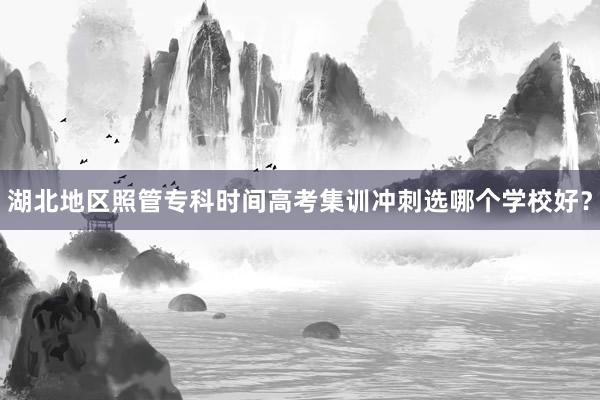 湖北地区照管专科时间高考集训冲刺选哪个学校好？